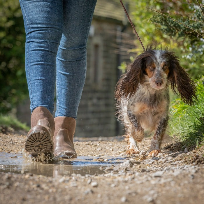 Waterproof sock hot sale for dogs